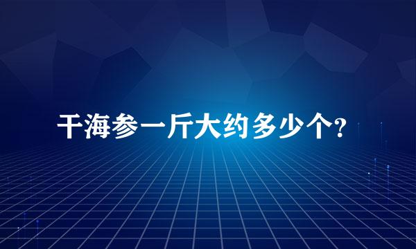 干海参一斤大约多少个？