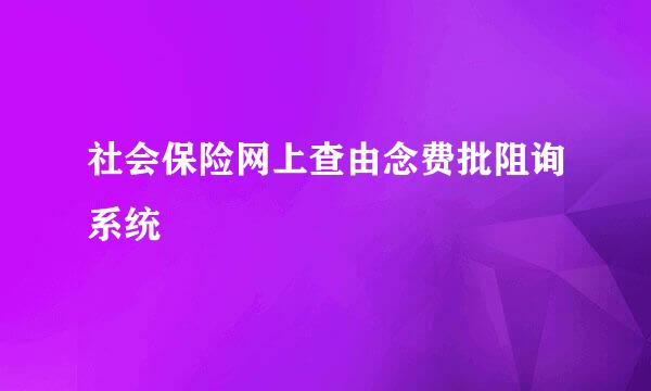 社会保险网上查由念费批阻询系统