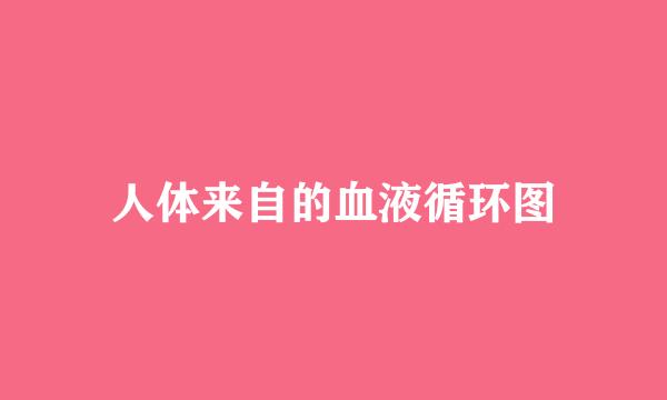 人体来自的血液循环图