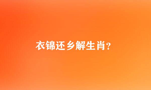 衣锦还乡解生肖？