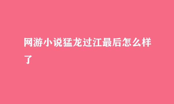 网游小说猛龙过江最后怎么样了