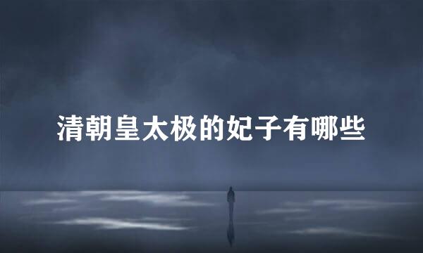 清朝皇太极的妃子有哪些