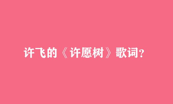 许飞的《许愿树》歌词？