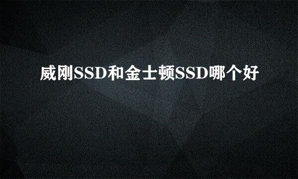 威刚SSD和金士顿SSD哪个好