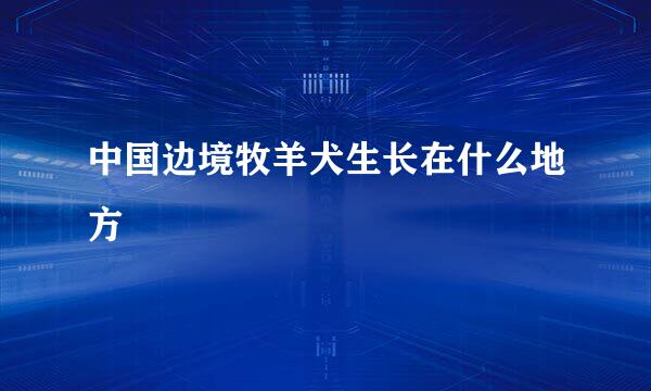 中国边境牧羊犬生长在什么地方