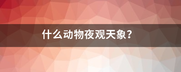什么动物夜观天象？