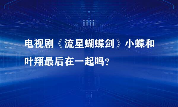 电视剧《流星蝴蝶剑》小蝶和叶翔最后在一起吗？