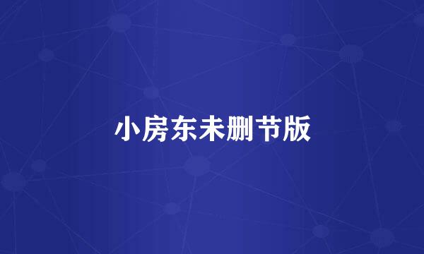 小房东未删节版
