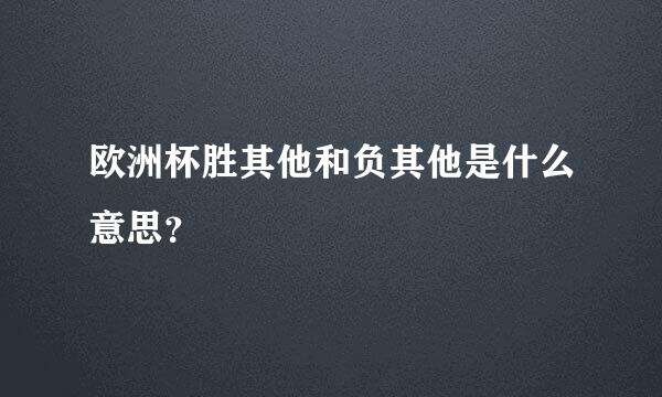 欧洲杯胜其他和负其他是什么意思？