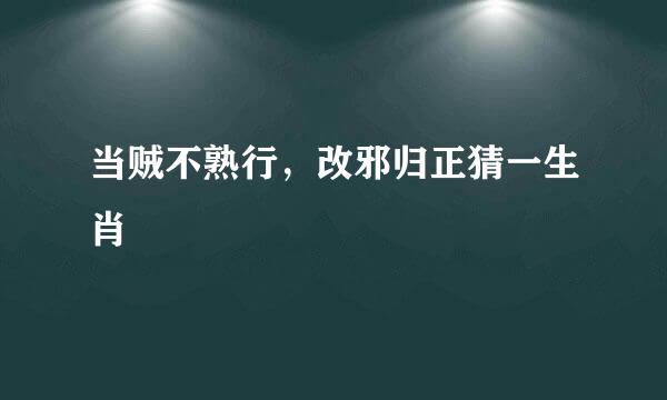 当贼不熟行，改邪归正猜一生肖