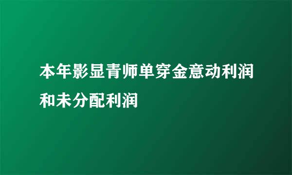 本年影显青师单穿金意动利润和未分配利润