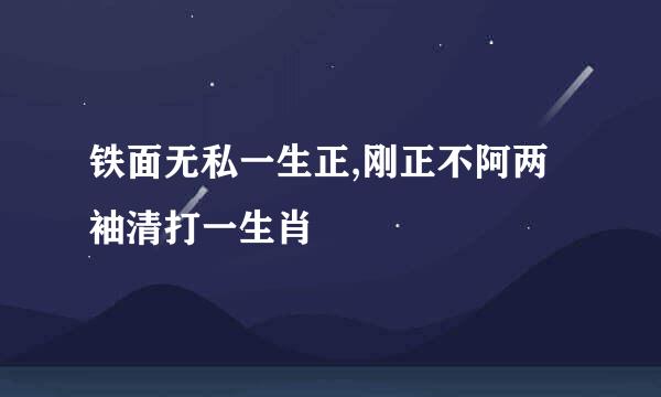 铁面无私一生正,刚正不阿两袖清打一生肖