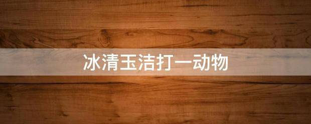 冰清玉洁打一动物