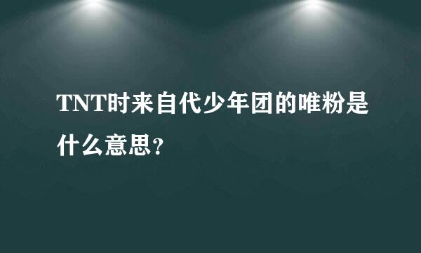 TNT时来自代少年团的唯粉是什么意思？