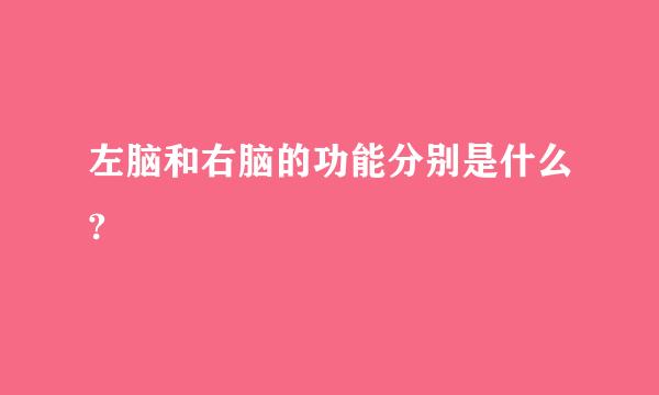 左脑和右脑的功能分别是什么?
