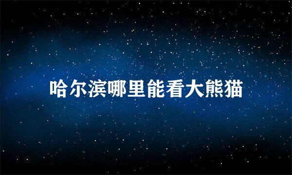 哈尔滨哪里能看大熊猫