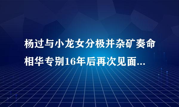 杨过与小龙女分极并杂矿奏命相华专别16年后再次见面时是几岁？