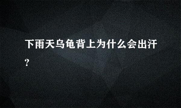 下雨天乌龟背上为什么会出汗？