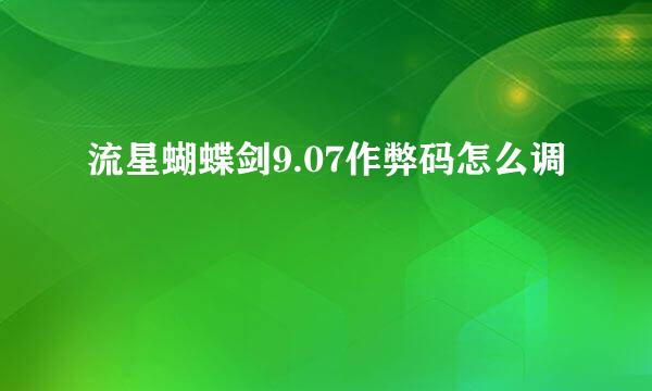 流星蝴蝶剑9.07作弊码怎么调