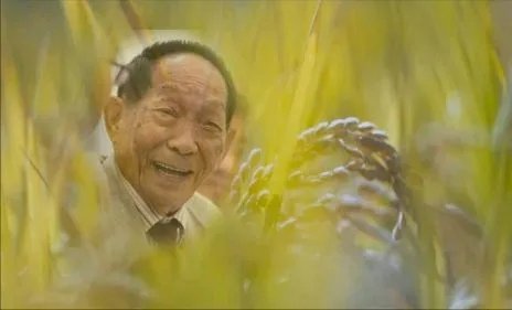 袁隆平、吴孟超两位院士逝世一周年，我们该怎样表达我们的缅怀之情？