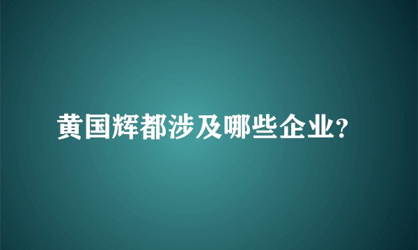 黄国辉都涉及哪些企业？