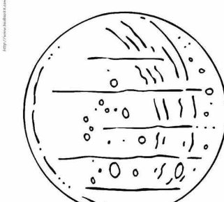 茵曼女装质量怎么样?(茵曼同档次的牌子)