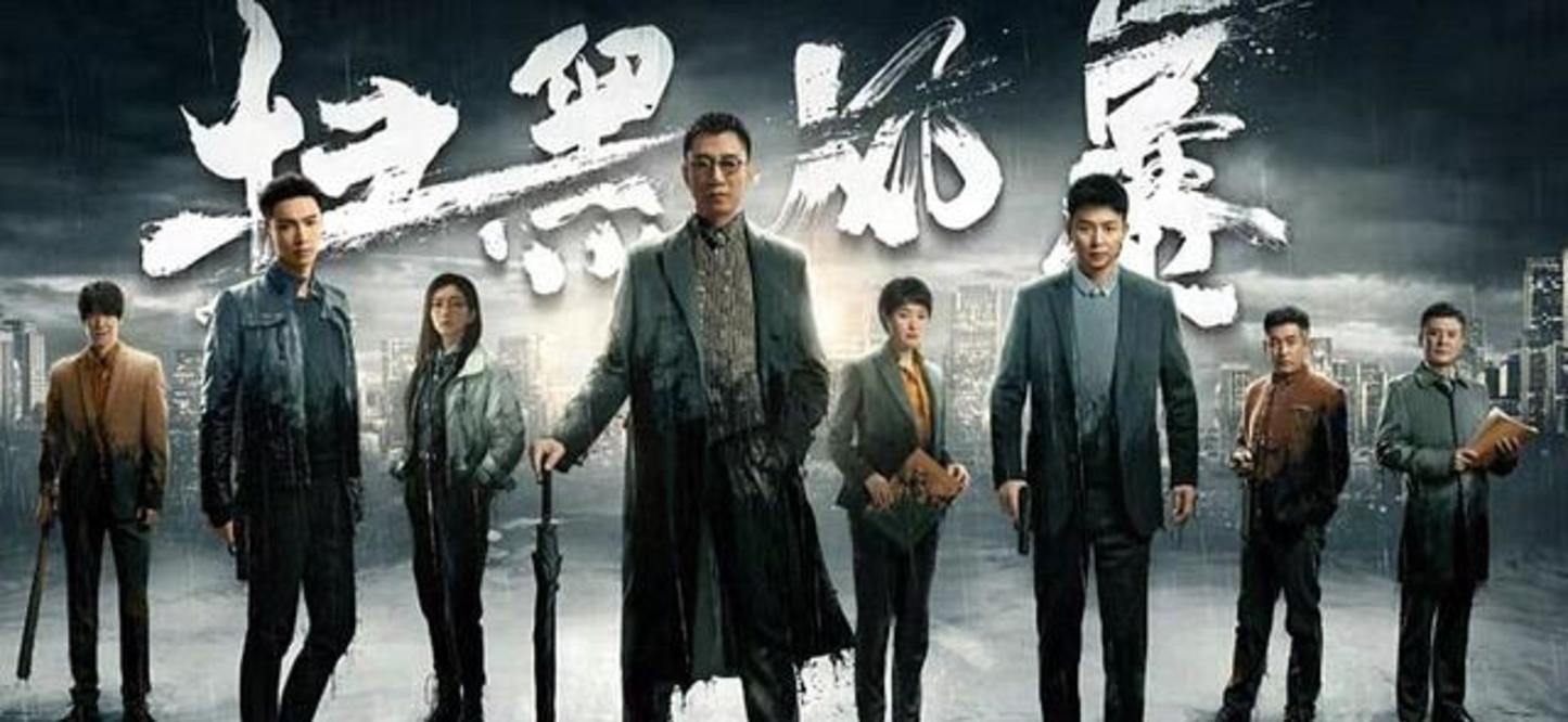 《扫黑风暴》一共有多少集？