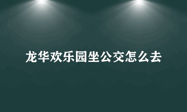 龙华欢乐园坐公交怎么去
