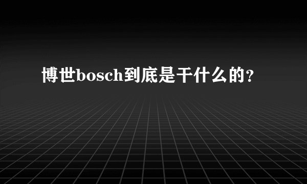 博世bosch到底是干什么的？