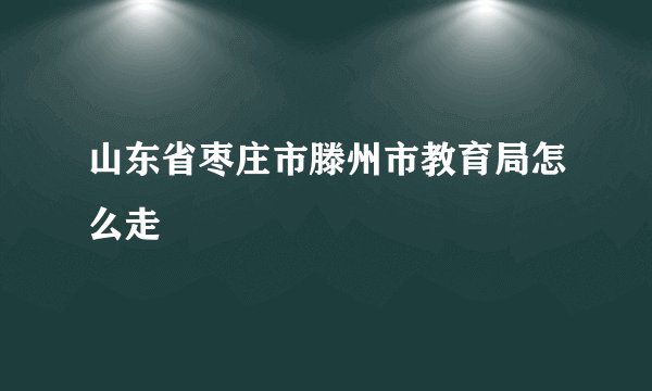 山东省枣庄市滕州市教育局怎么走