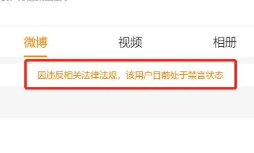 王思聪为什么被禁言