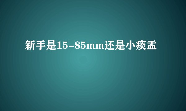 新手是15-85mm还是小痰盂