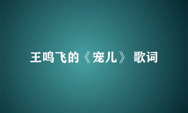 王鸣飞的《宠儿》 歌词