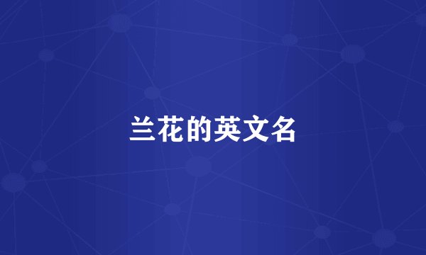 兰花的英文名