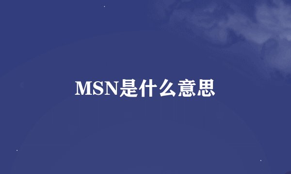 MSN是什么意思
