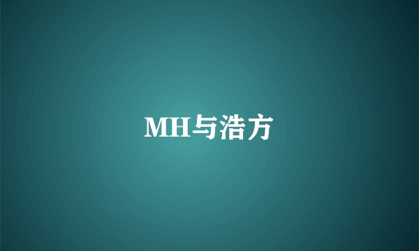 MH与浩方
