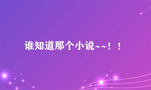 谁知道那个小说~~！！