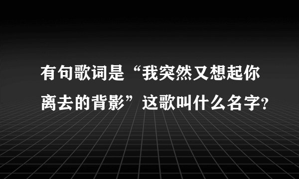 有句歌词是“我突然又想起你离去的背影”这歌叫什么名字？