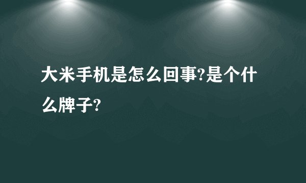 大米手机是怎么回事?是个什么牌子?