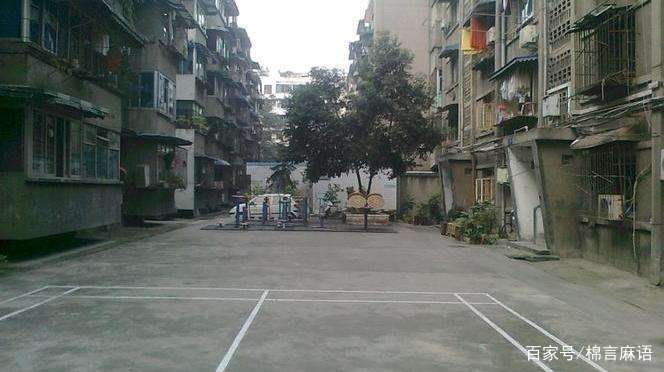 成都300年桂花巷桂花树全砍光的原因是什么？