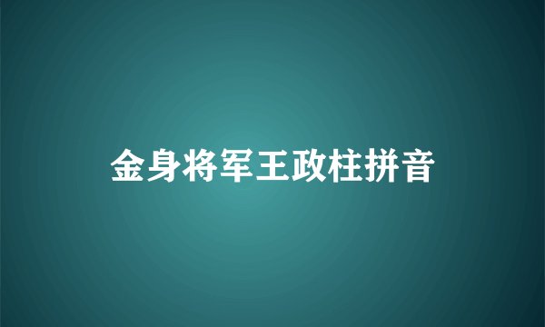 金身将军王政柱拼音