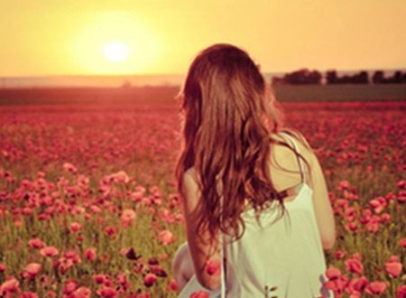 花开半夏剧情分集介绍