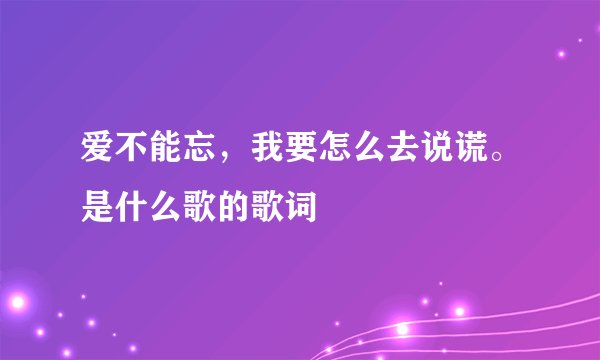 爱不能忘，我要怎么去说谎。是什么歌的歌词