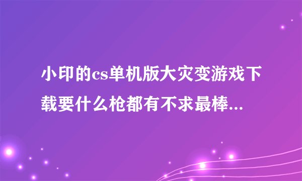 小印的cs单机版大灾变游戏下载要什么枪都有不求最棒但求最好