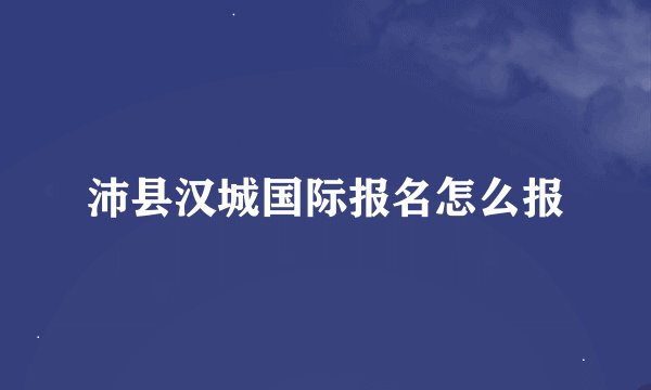 沛县汉城国际报名怎么报