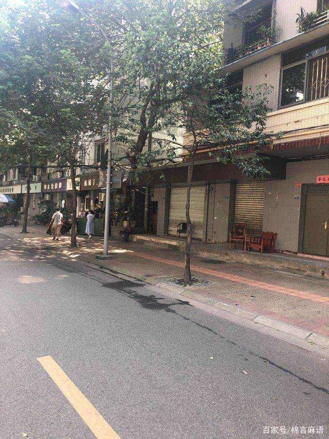 成都300年桂花巷桂花树全砍光的原因是什么？