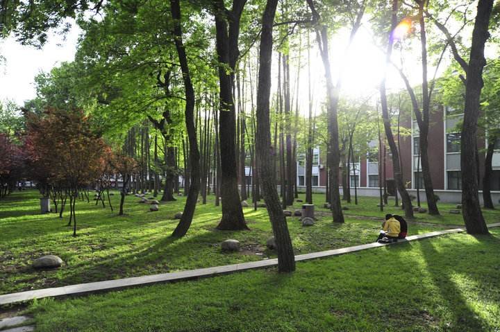 湖北大学老师梁艳萍被停职，是否应该继续追究其责任？