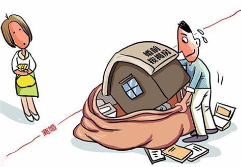 委员建议配偶有权查询另一方财产，这条建议的本意是什么？