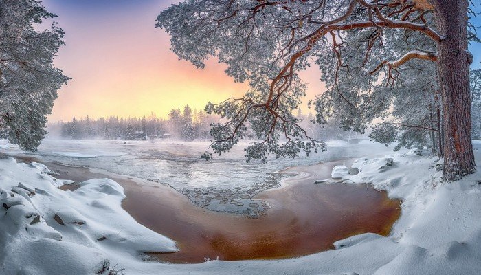 男扮女装藏蛋教程伪娘如何用胶水隐藏dd