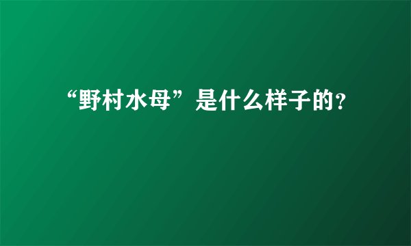 “野村水母”是什么样子的？
